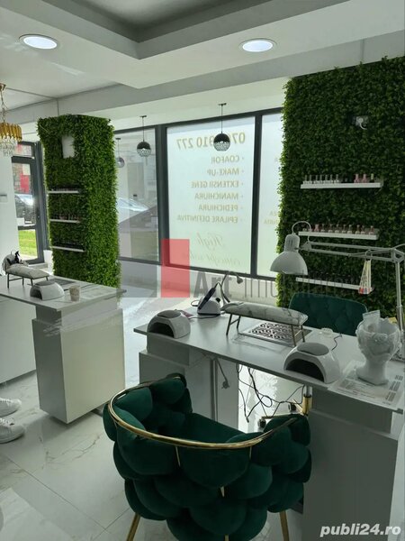 Mihai Bravu, Ferdinand, salon de inchiriat